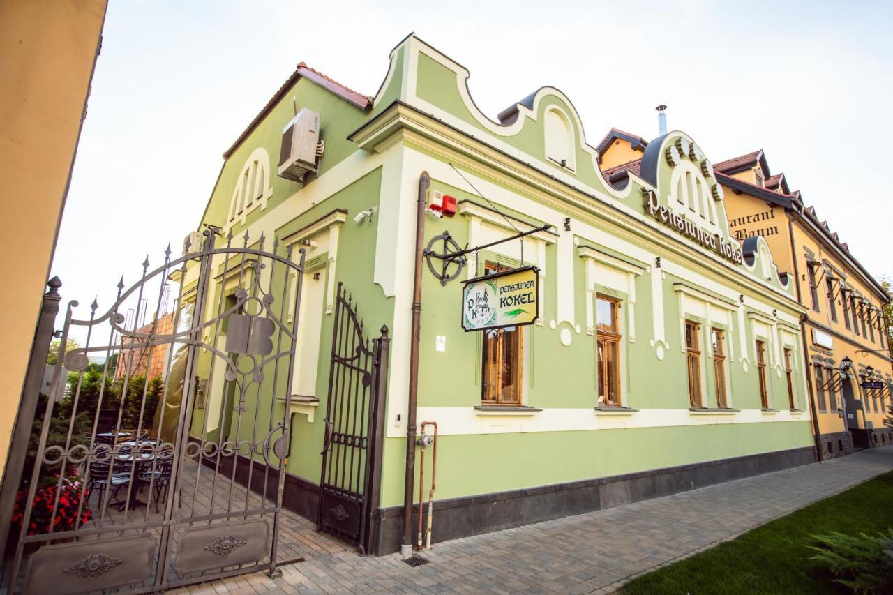 Pension Kokel Dumbraveni  Zewnętrze zdjęcie